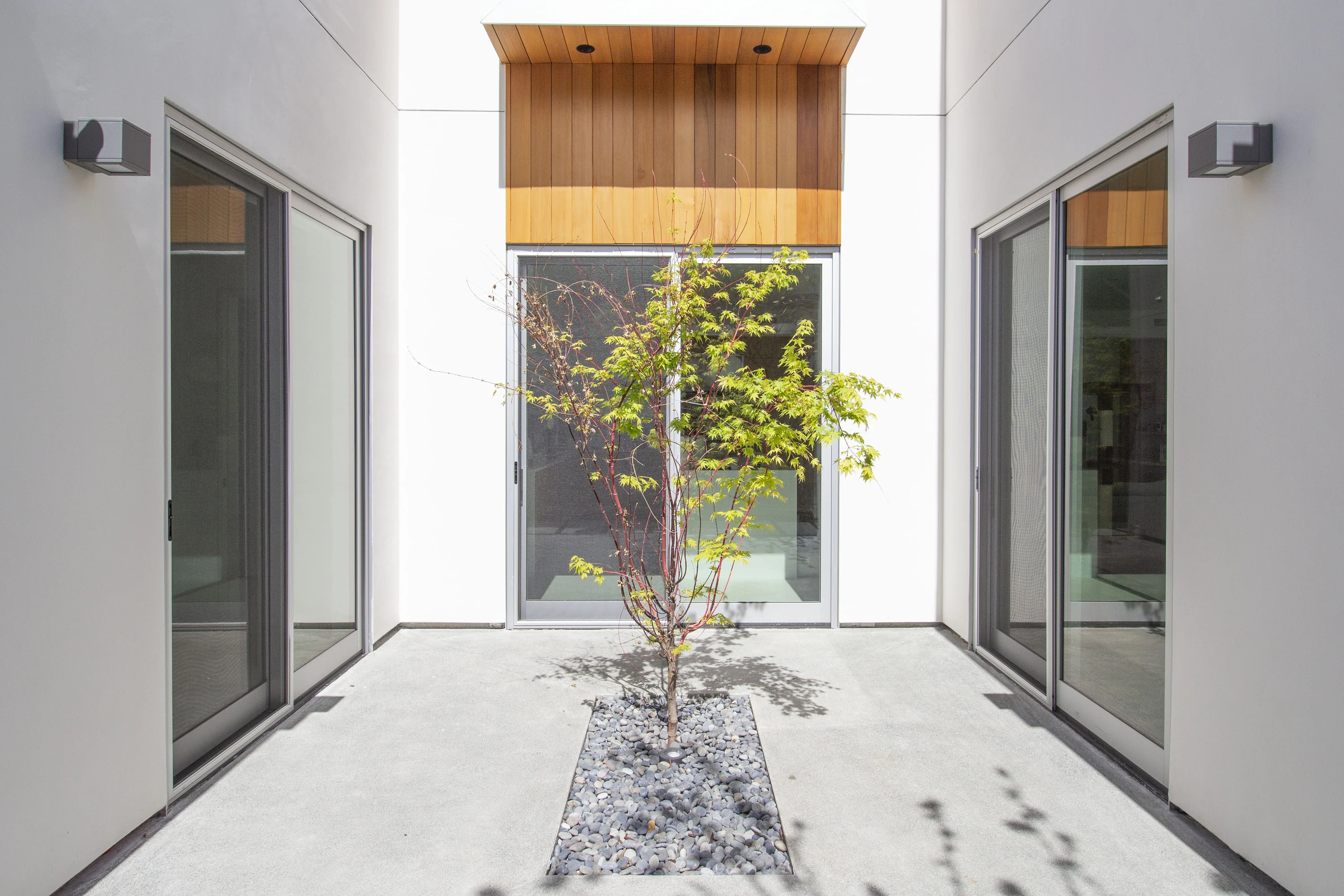 Ground-floor courtyard with a Japanese maple